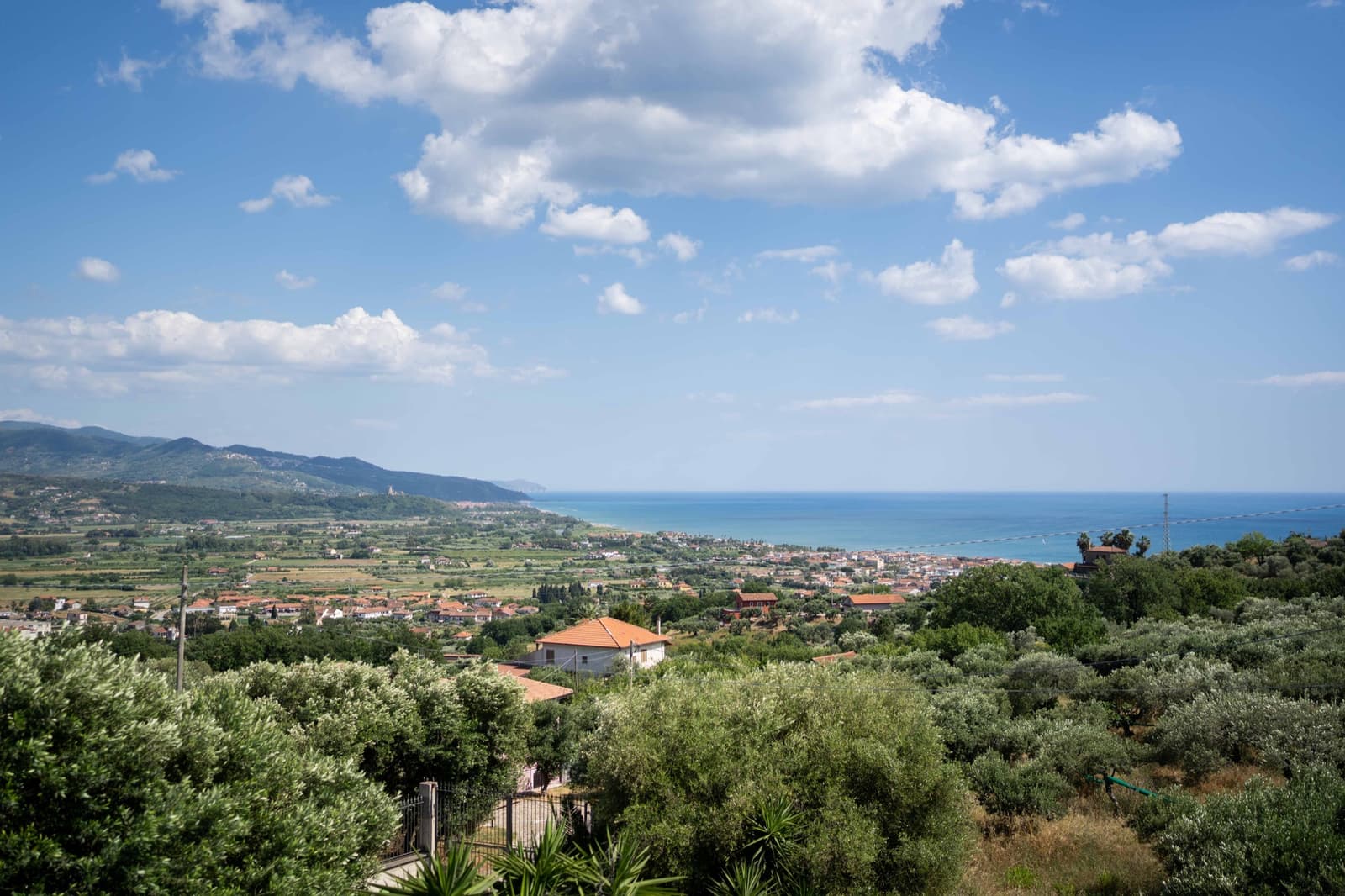 Vista panoramica sul Golfo del Cilento dagli ulivi di Villa Lorella